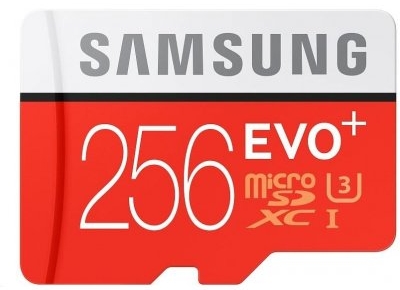 scheda di memoria - scheda micro SD da 256 GB