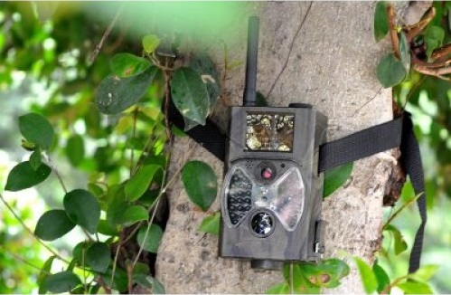 Fotocamera da caccia