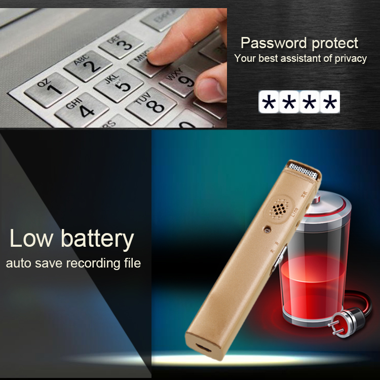 dittafono con protezione tramite password
