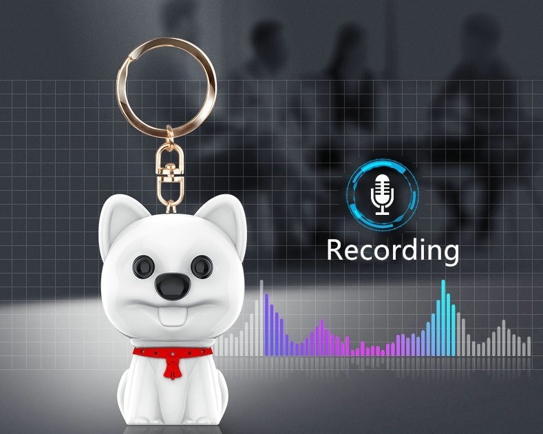 registratore vocale in un cane portachiavi